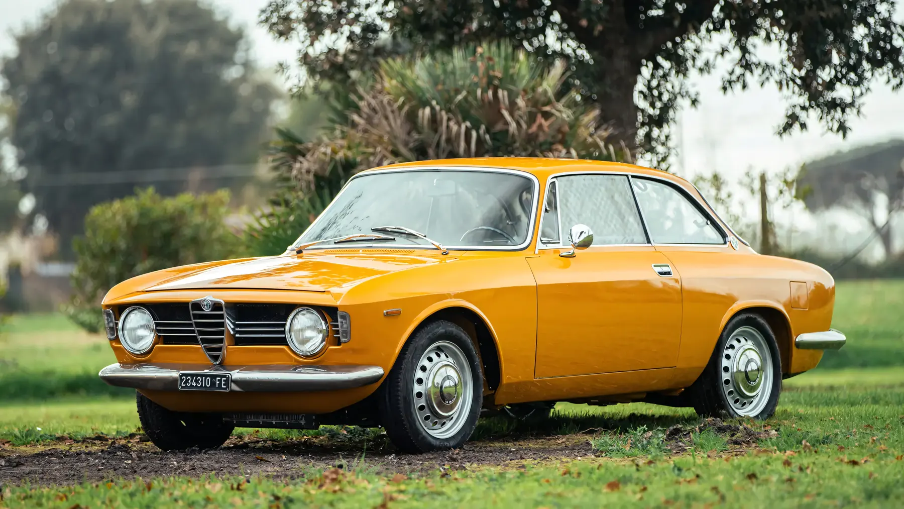 1967 Alfa Romeo Giulia Sprint GT Veloce