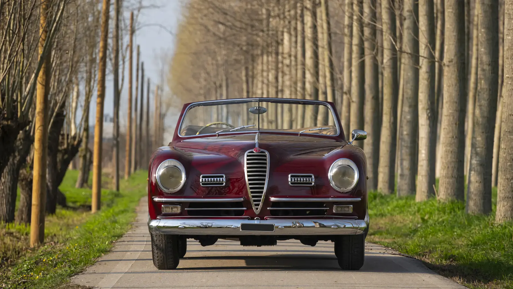 1949 Alfa Romeo 6C 2500 Passo Corto Super Sport Cabriolet by Pinin Farina - photo 2