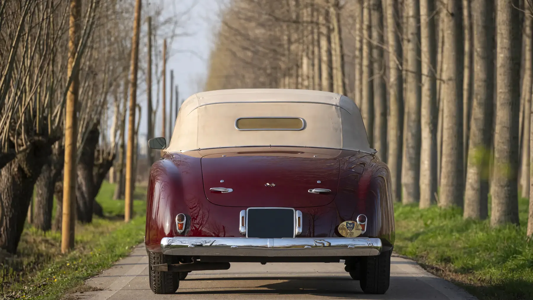 1949 Alfa Romeo 6C 2500 Passo Corto Super Sport Cabriolet by Pinin Farina - photo 3