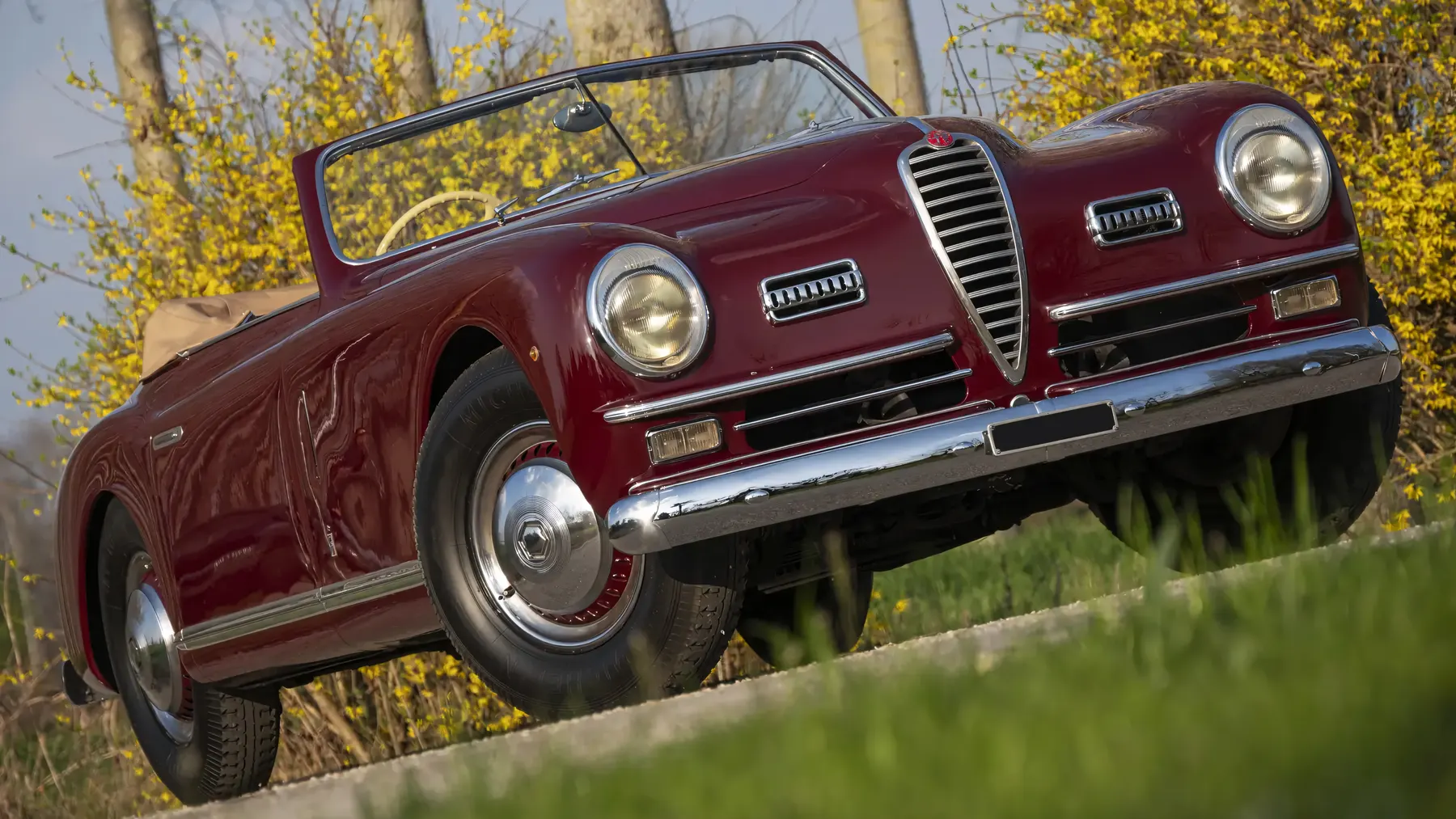 1949 Alfa Romeo 6C 2500 Passo Corto Super Sport Cabriolet by Pinin Farina - photo 5
