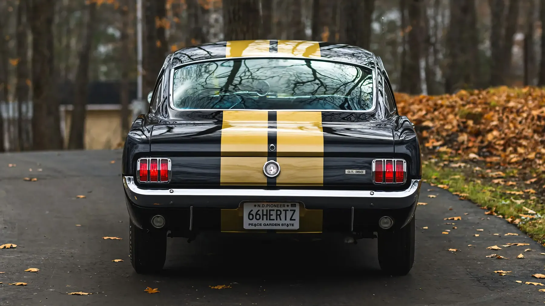 1966 Shelby GT350 H - photo 4