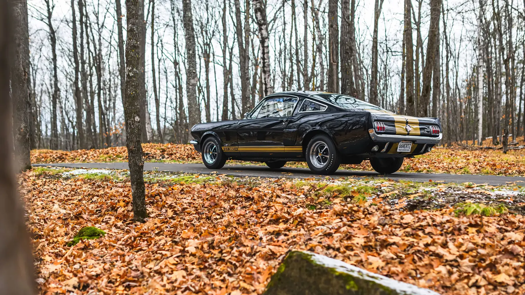 1966 Shelby GT350 H - photo 3