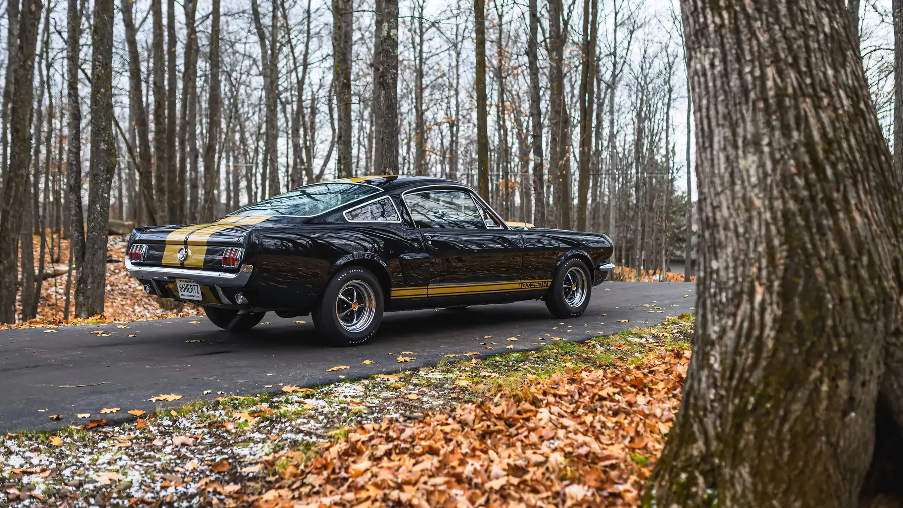 1966 Shelby GT350 H - photo 3
