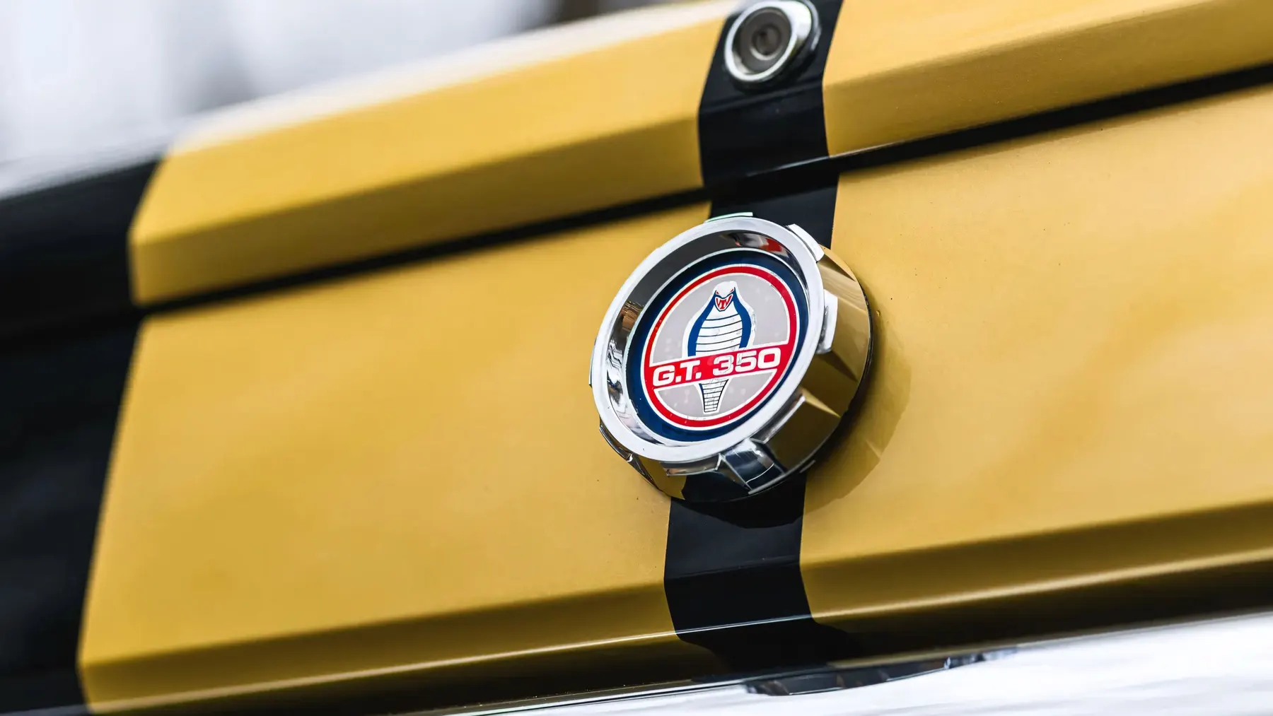 1966 Shelby GT350 H - photo 5