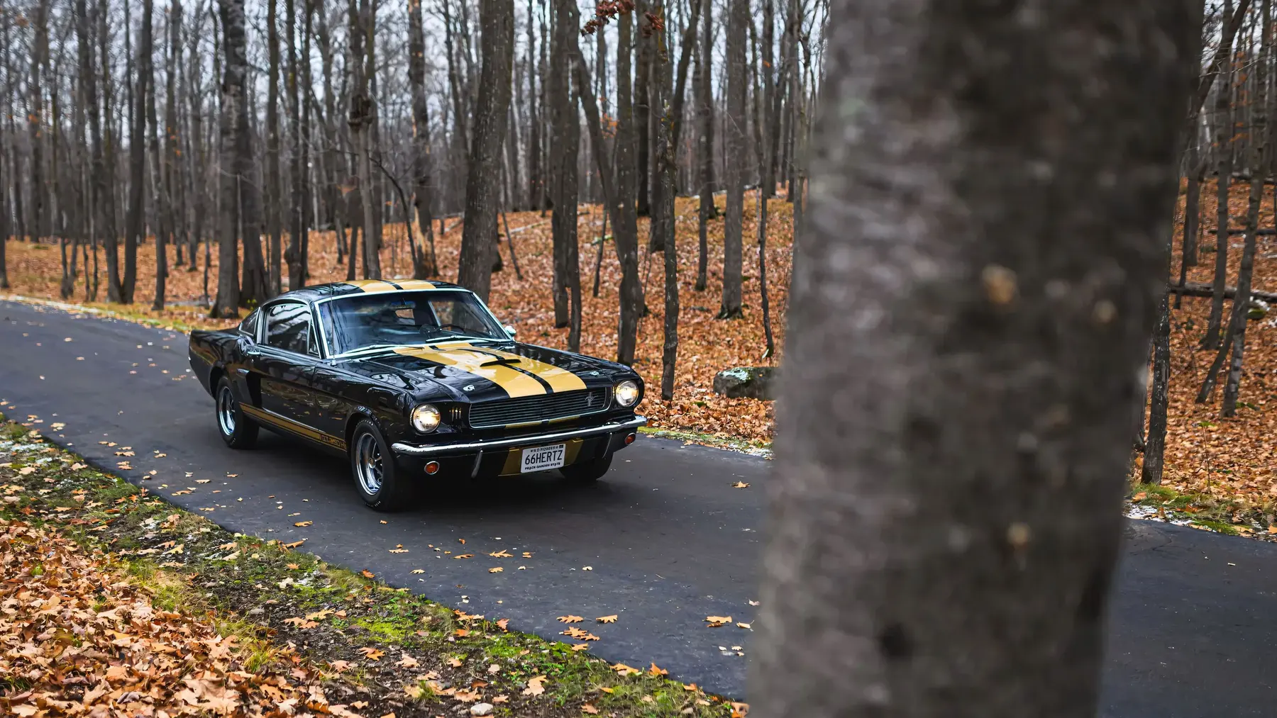 1966 Shelby GT350 H - photo 2