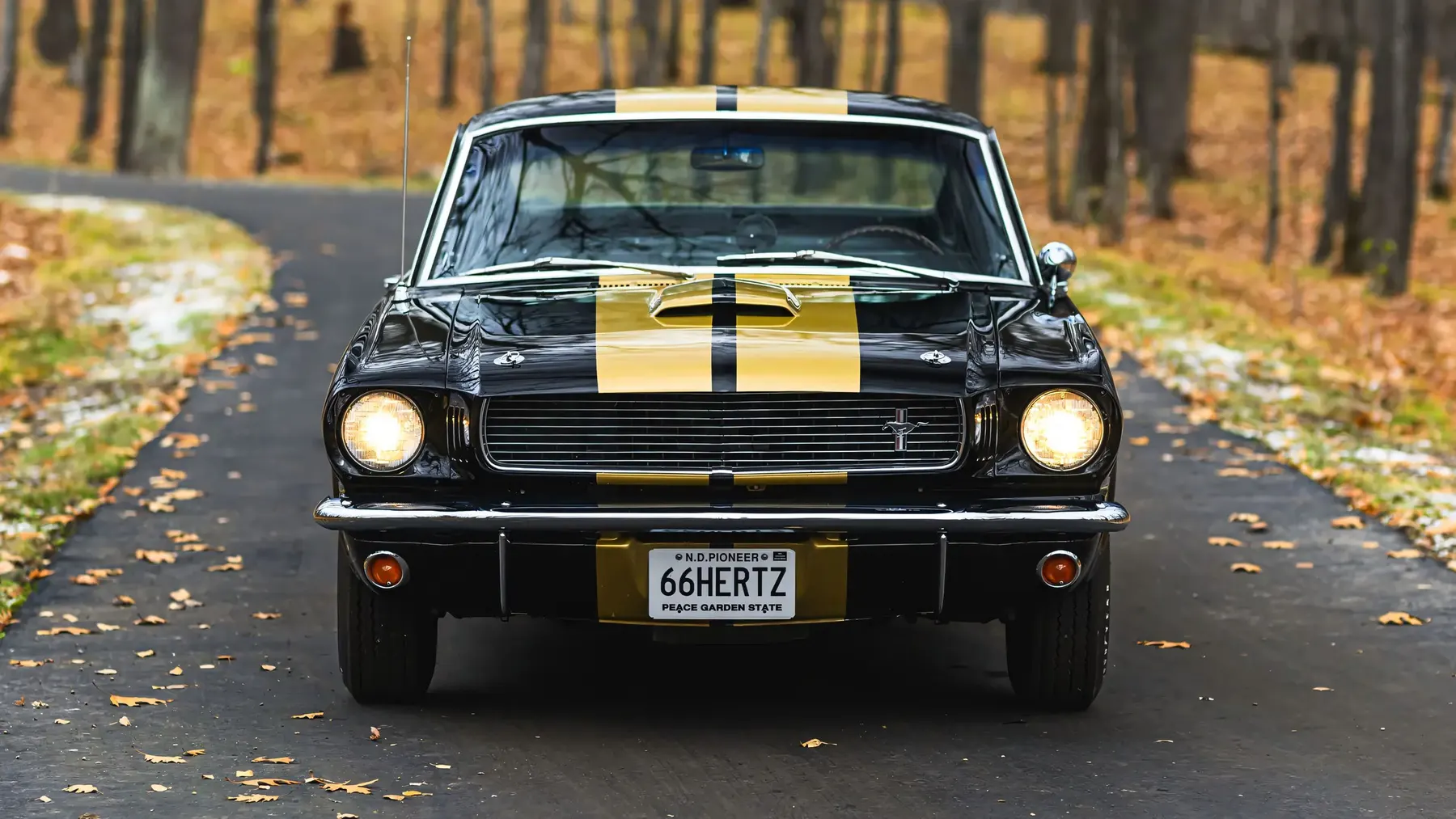 1966 Shelby GT350 H - photo 1