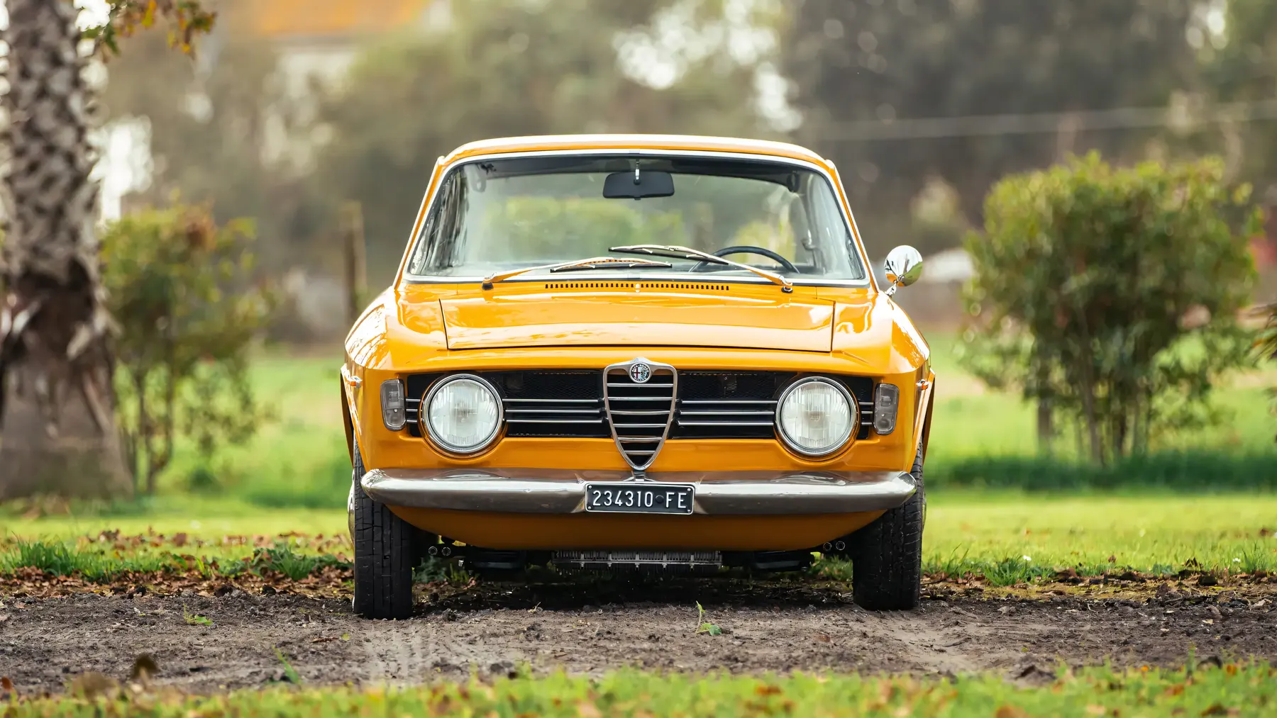 1967 Alfa Romeo Giulia Sprint GT Veloce - photo 1