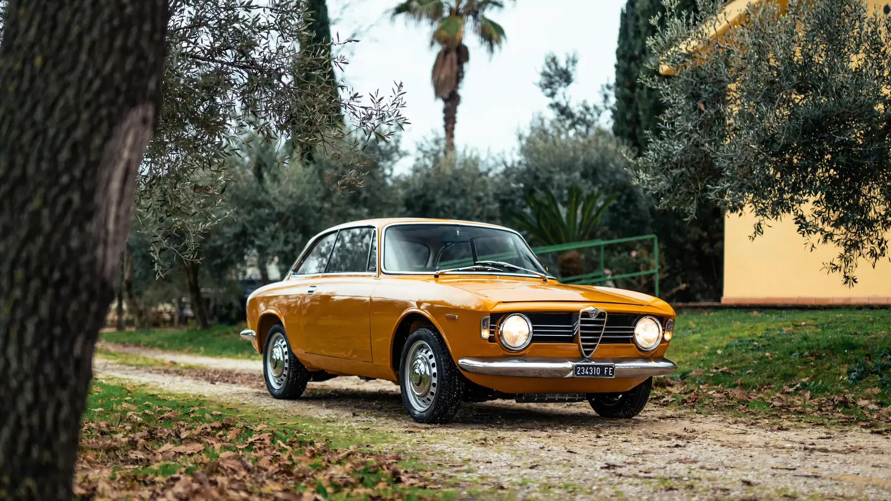 1967 Alfa Romeo Giulia Sprint GT Veloce - photo 3