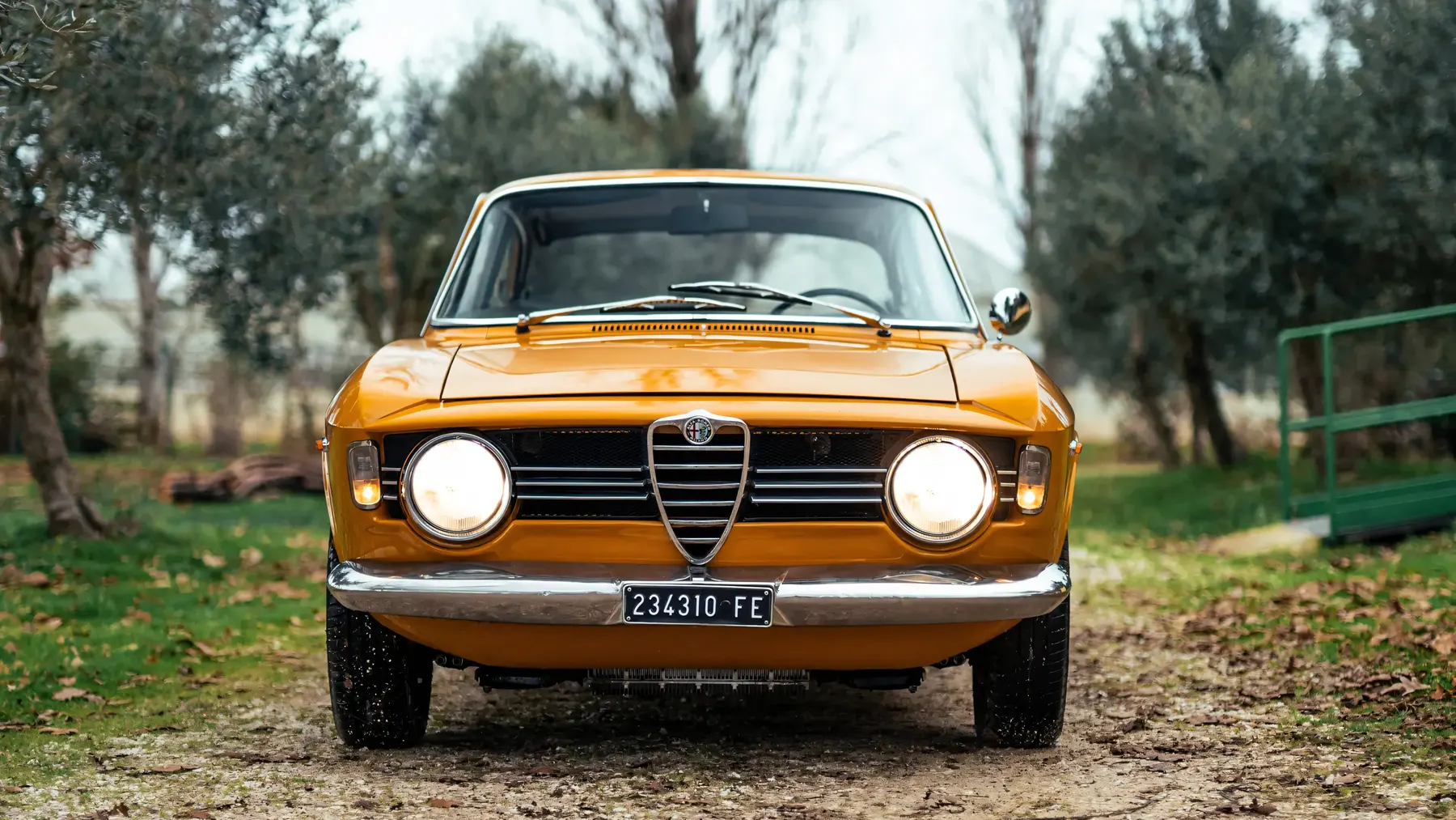 1967 Alfa Romeo Giulia Sprint GT Veloce - photo 2