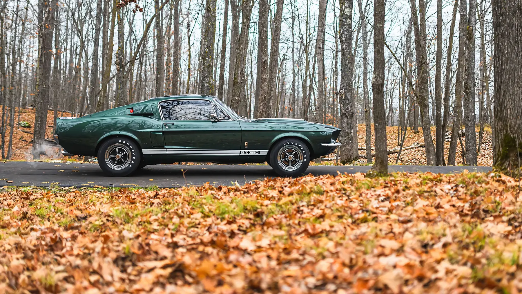 1967 Shelby GT350 Fastback - photo 3