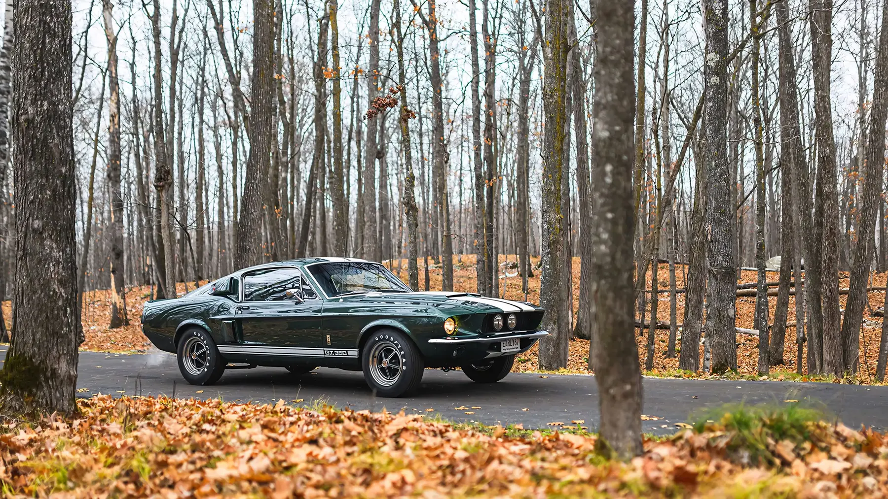 1967 Shelby GT350 Fastback - photo 6