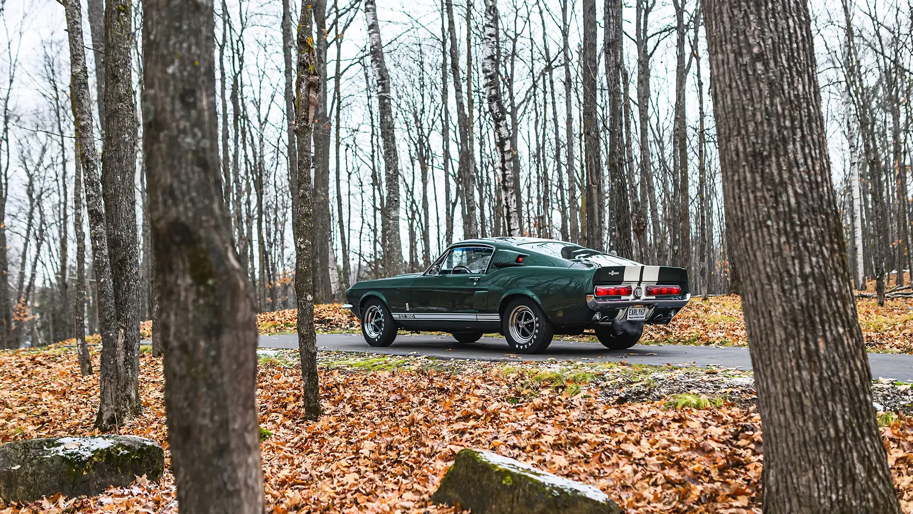 1967 Shelby GT350 Fastback - photo 3