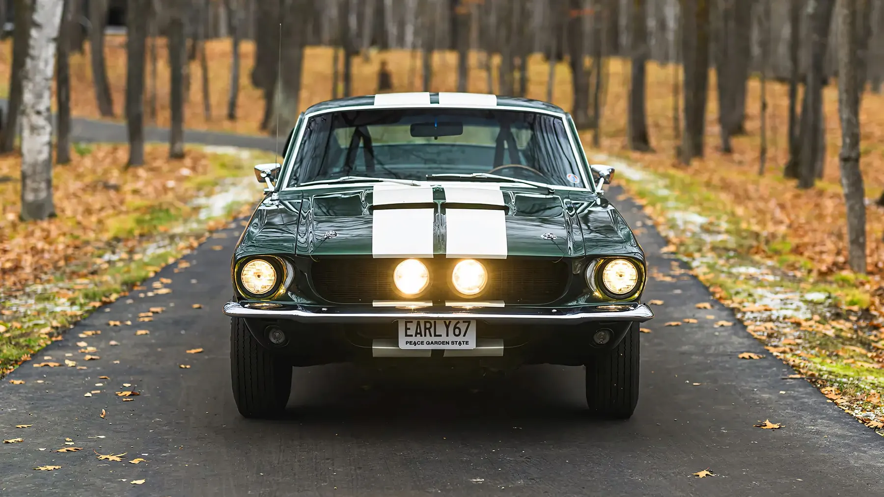 1967 Shelby GT350 Fastback - photo 5