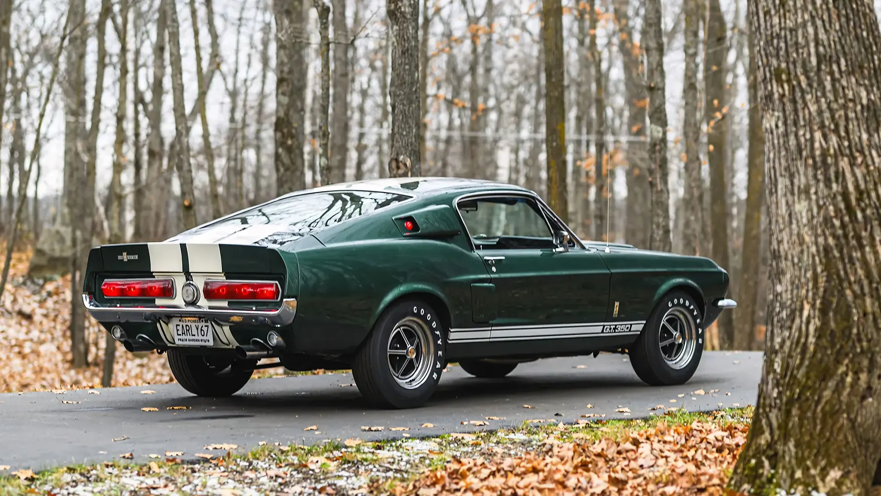 1967 Shelby GT350 Fastback - photo 5