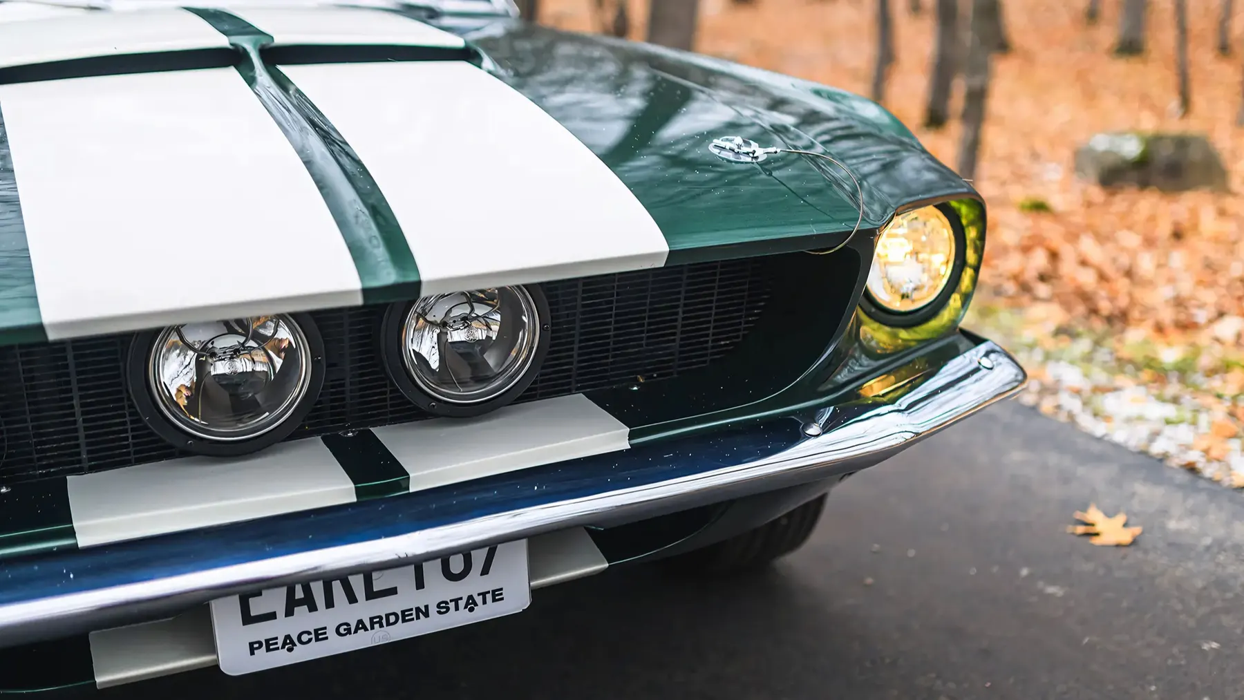 1967 Shelby GT350 Fastback - photo 1
