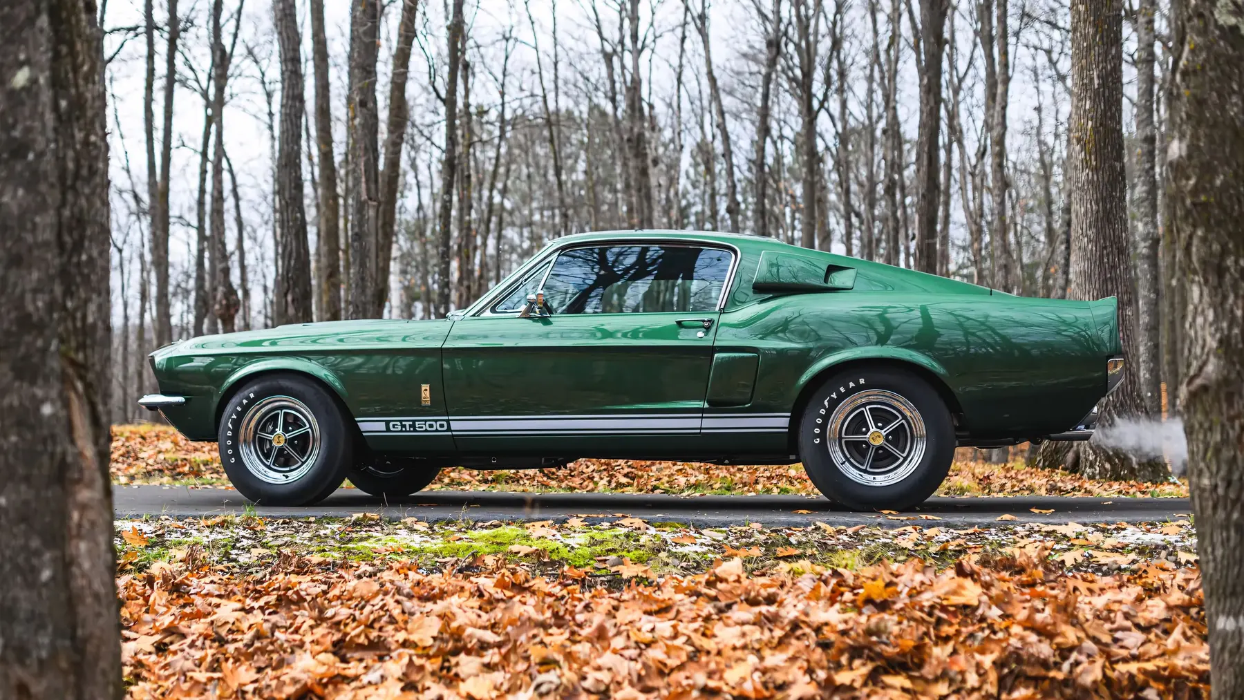 1967 Shelby GT500 Fastback - photo 5