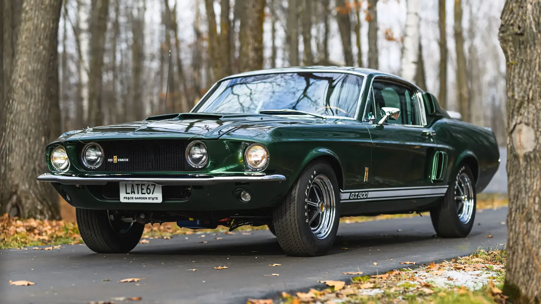 1967 Shelby GT500 Fastback - photo 4