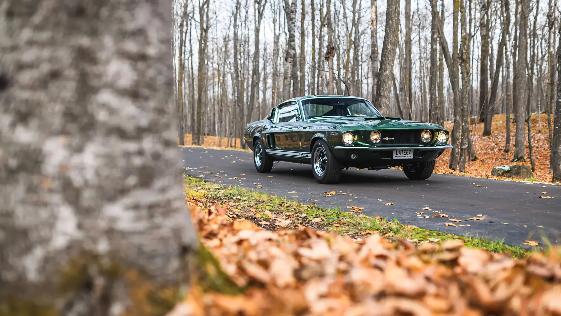 1967 Shelby GT500 Fastback - photo 1