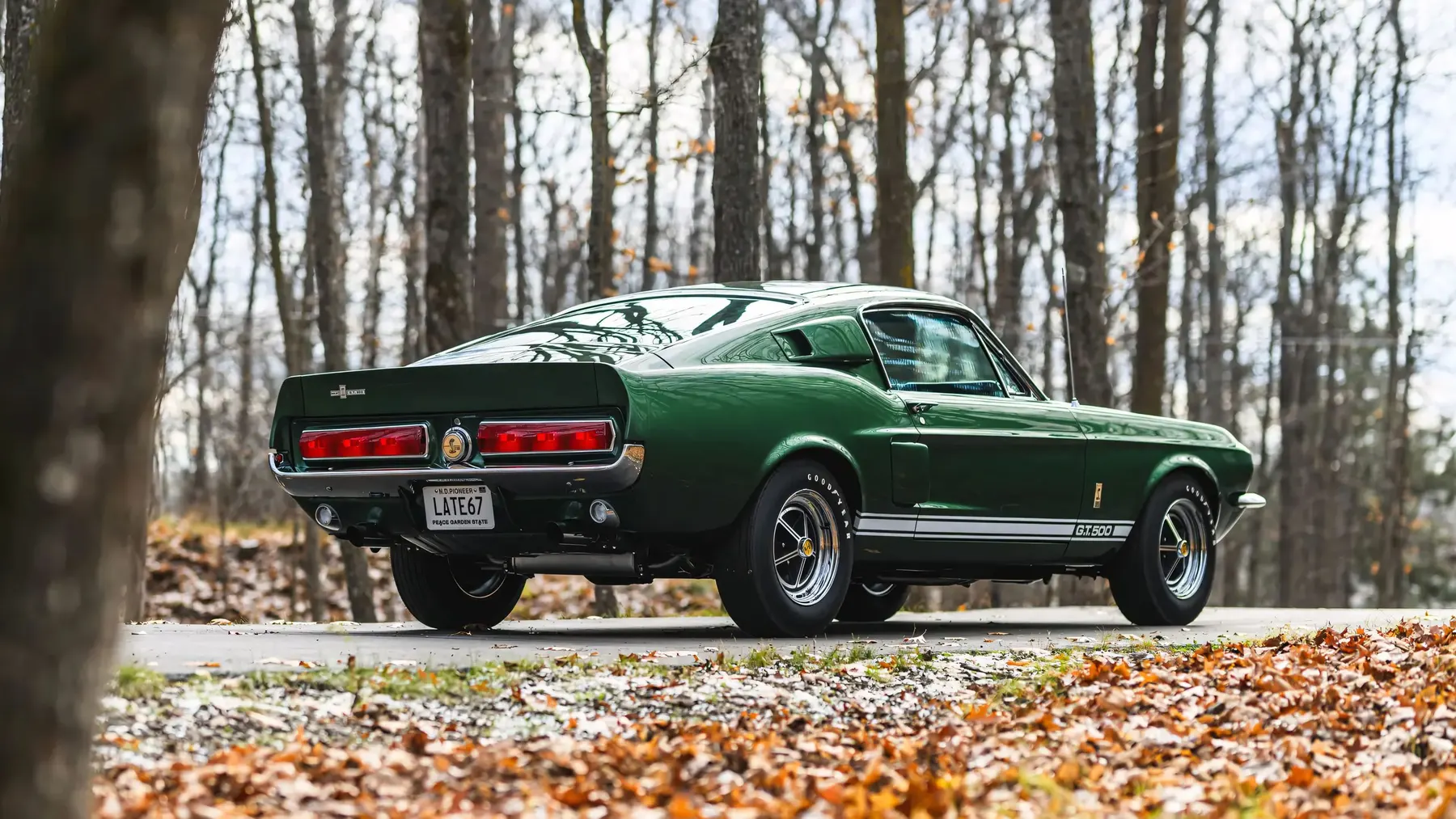 1967 Shelby GT500 Fastback - photo 3