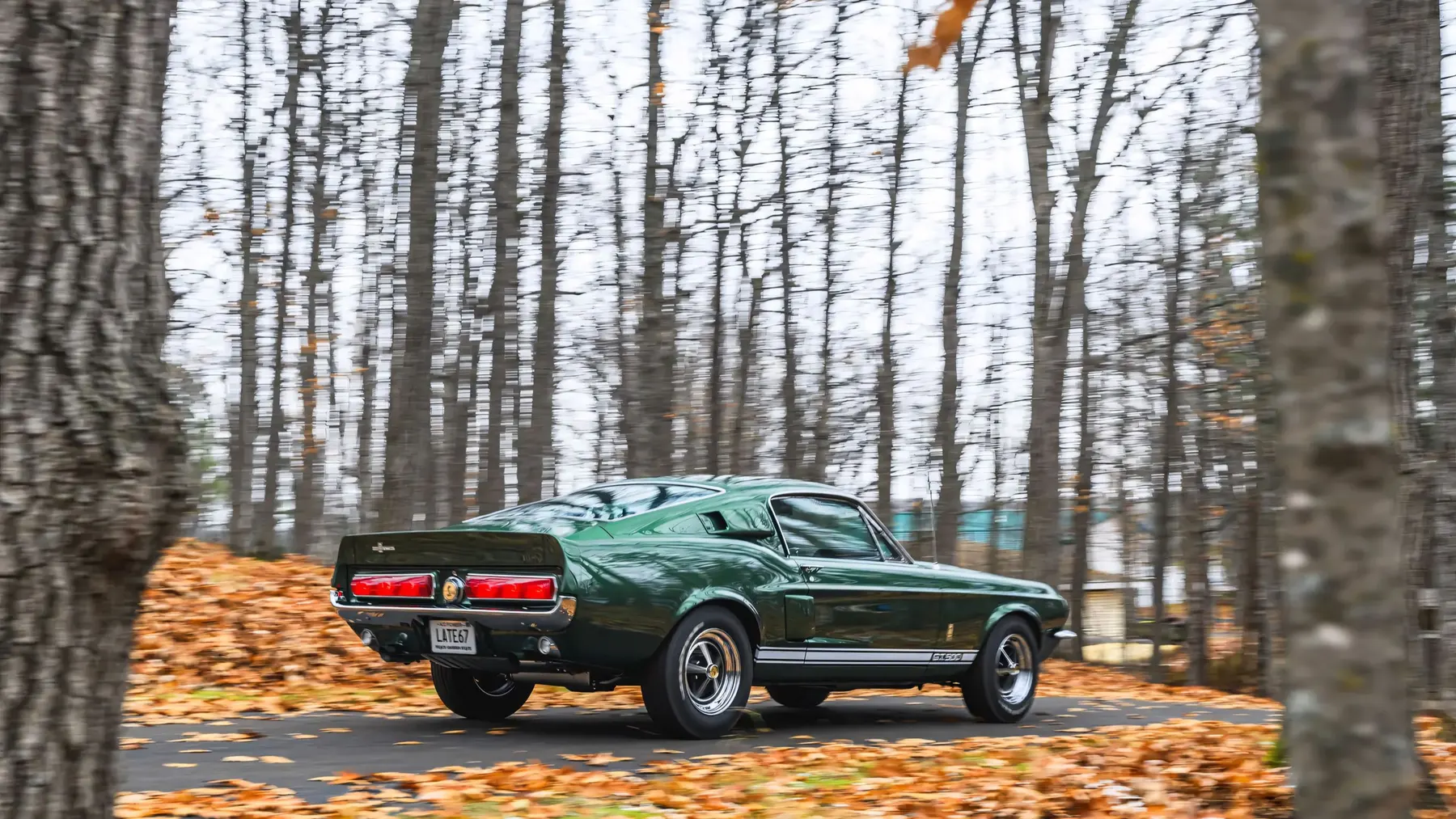 1967 Shelby GT500 Fastback - photo 6