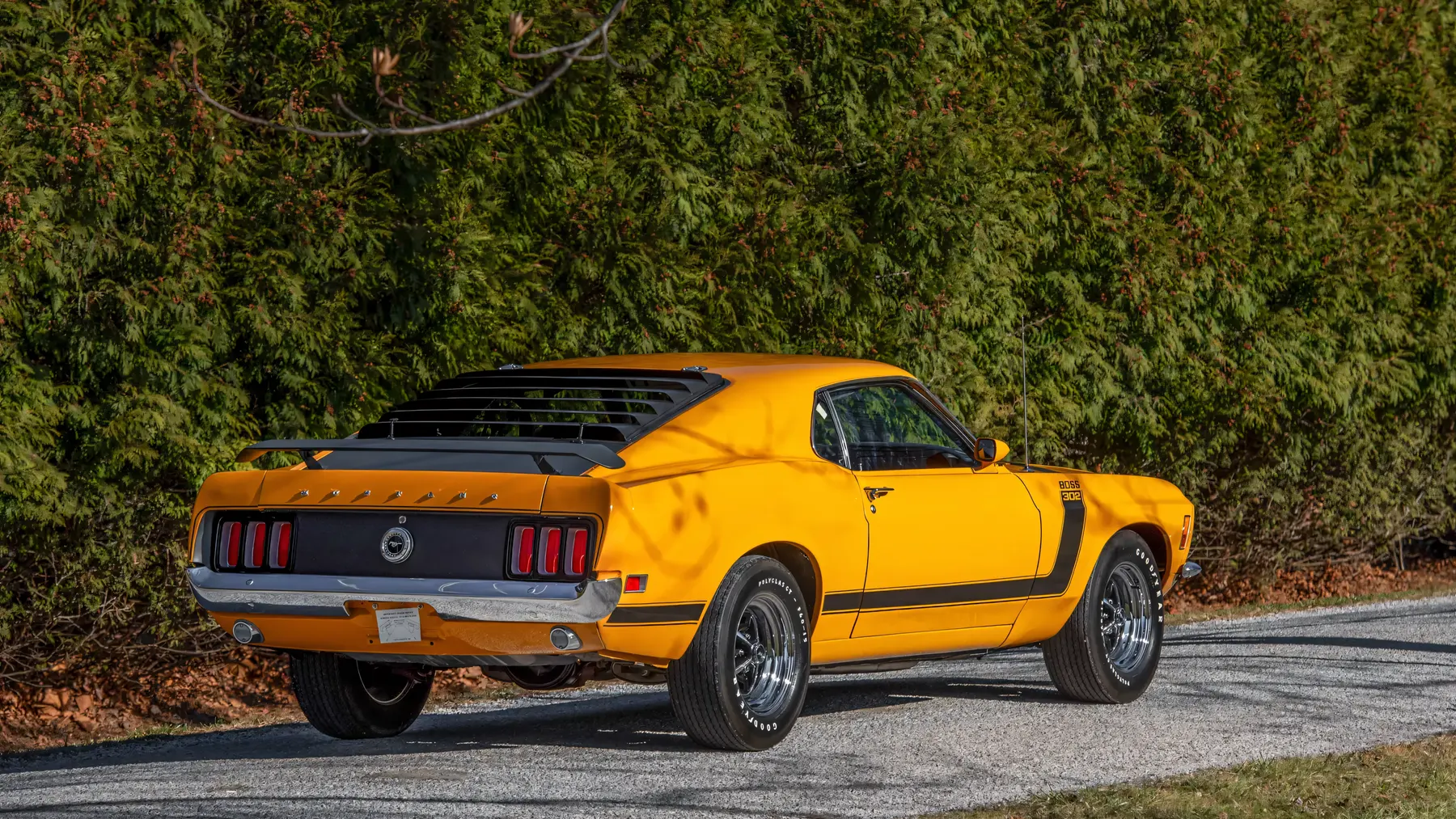 1970 Ford Mustang Boss 302 - photo 1