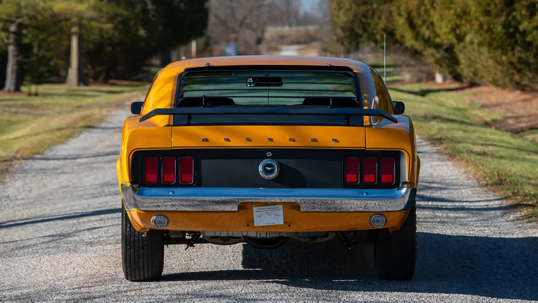 1970 Ford Mustang Boss 302 - photo 3
