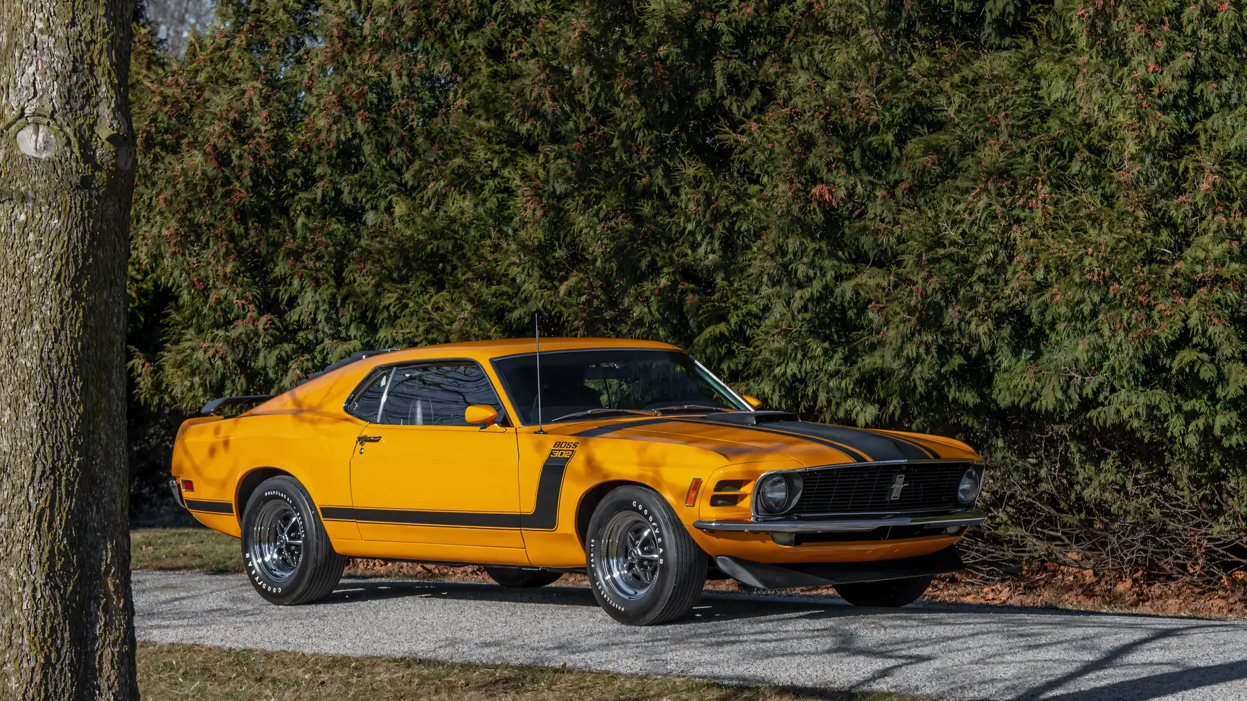 1970 Ford Mustang Boss 302 - photo 4
