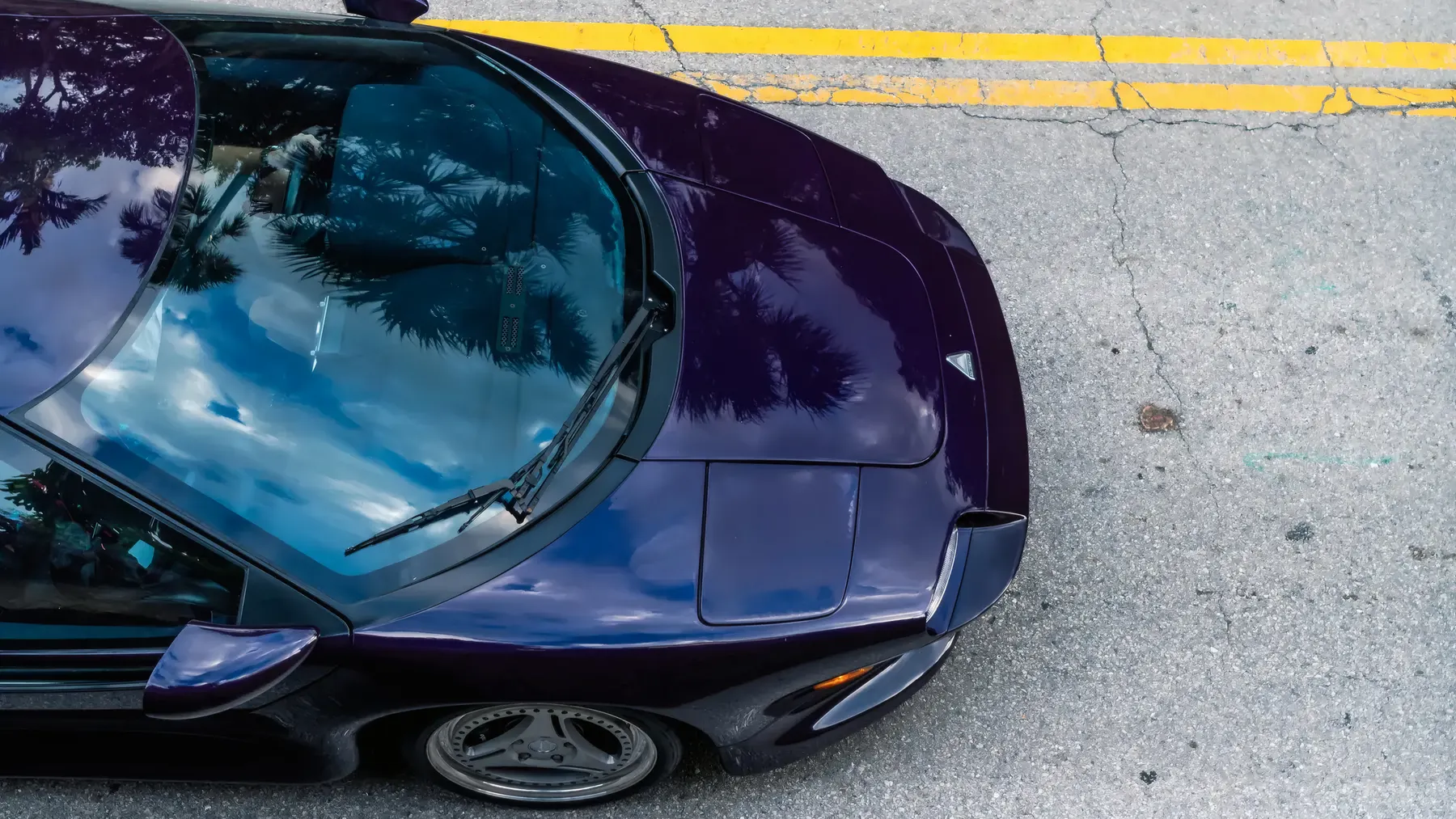 1996 Vector M12 - photo 5