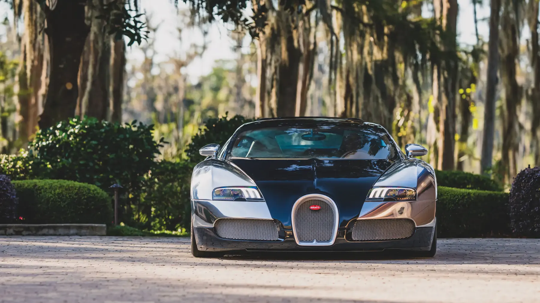 2010 Bugatti Veyron 16.4 Grand Sport 'Sang Bleu' - photo 1