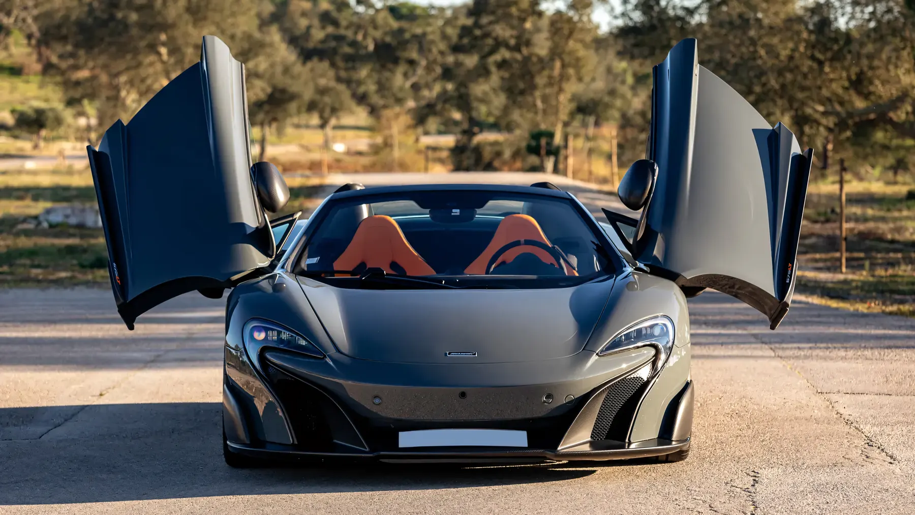 2016 McLaren 675LT Spider - photo 4