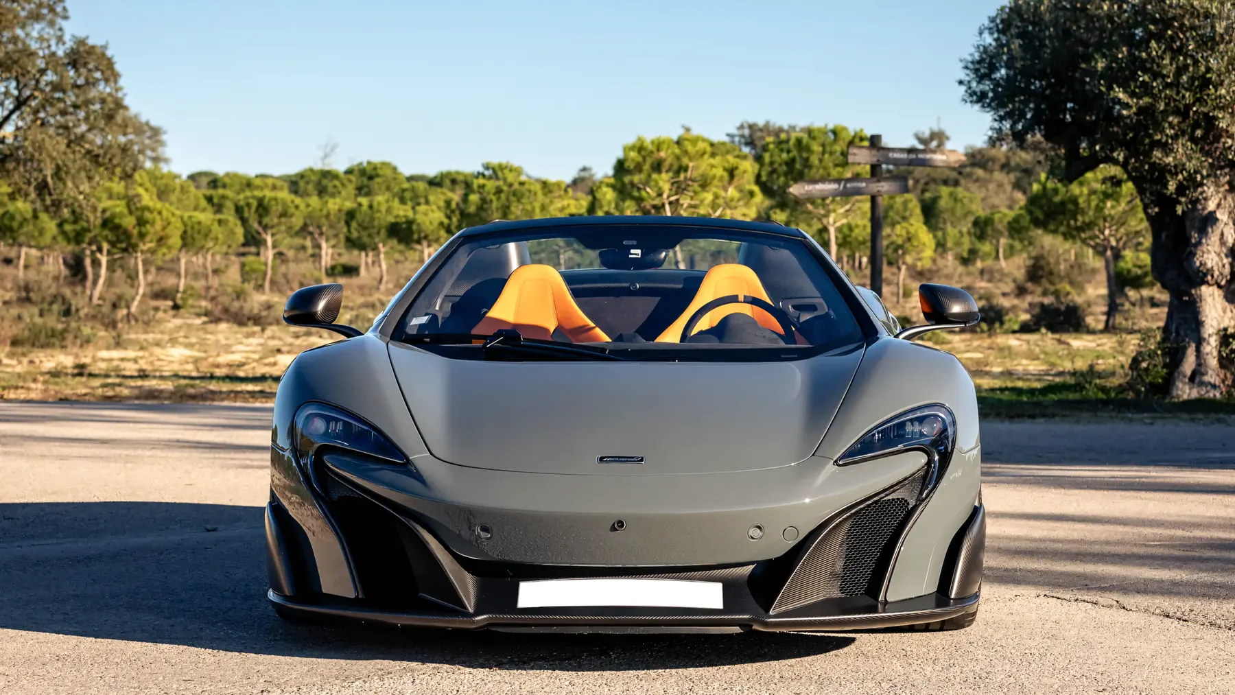 2016 McLaren 675LT Spider - photo 1