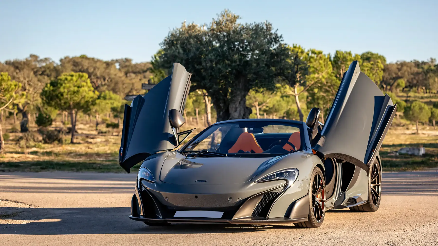 2016 McLaren 675LT Spider - photo 5
