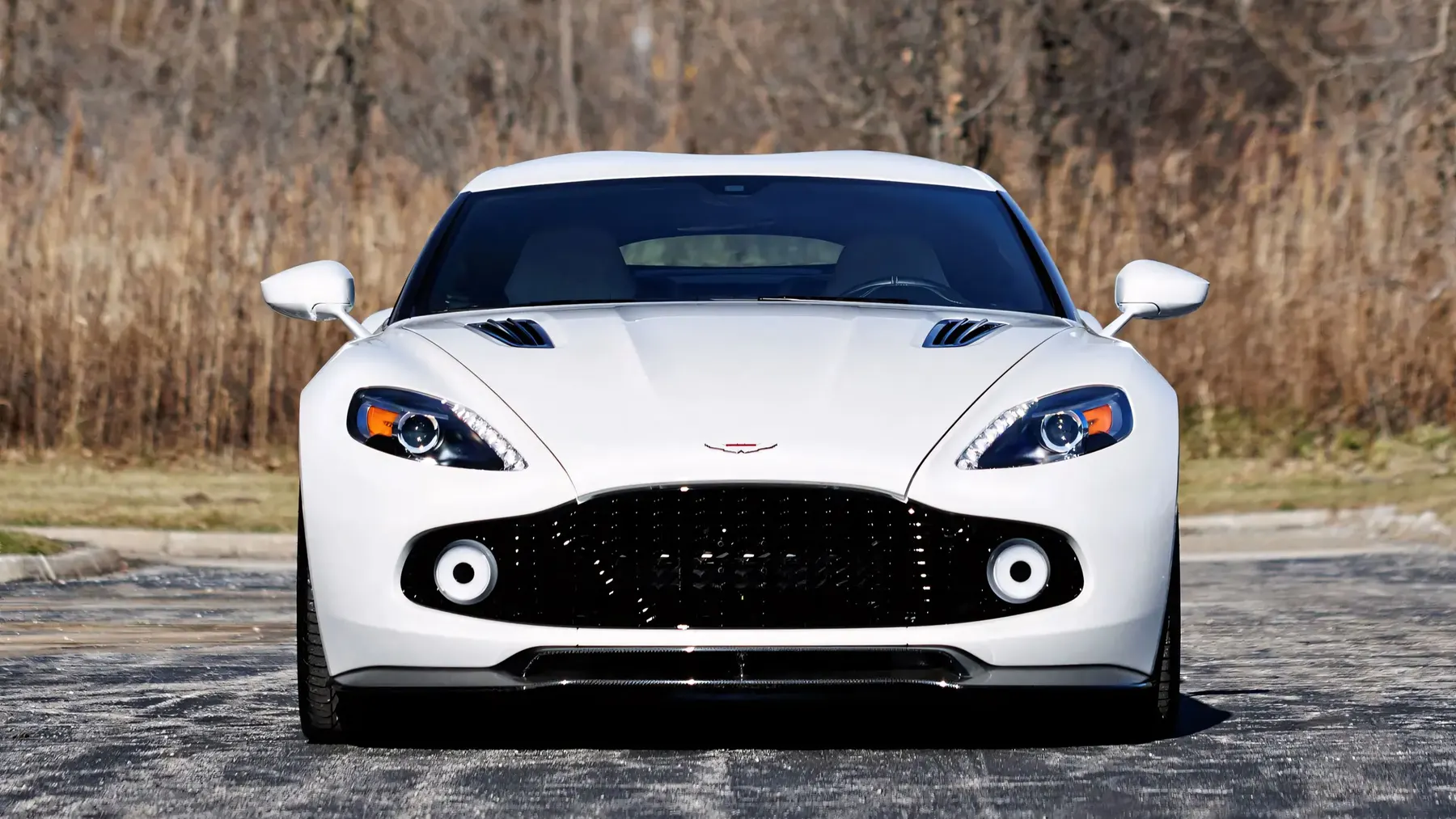 2018 Aston Martin Vanquish Zagato Coupe - photo 5