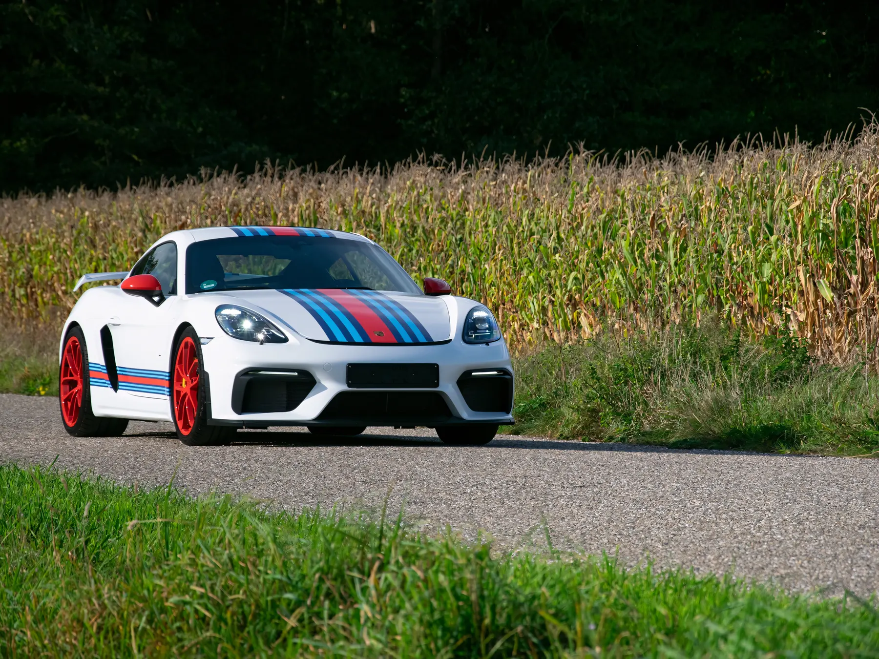 2022 Porsche 718 Cayman GT4 - photo 6